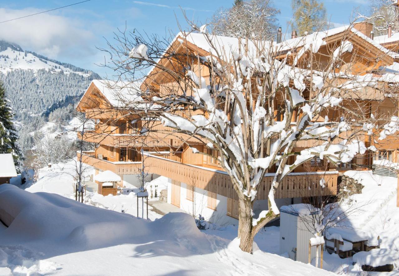 Panoramapark Soleil Chalet C Wengen Exterior photo