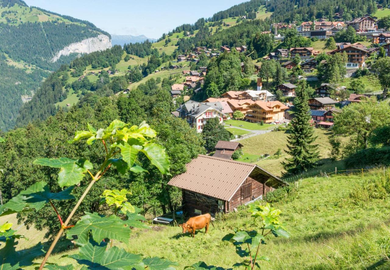 Panoramapark Soleil Chalet C Wengen Exterior photo